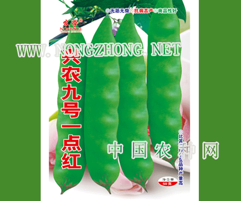 兴农9号一点红豆角种子